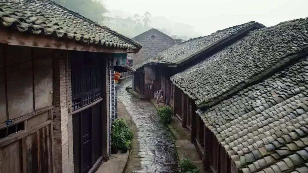 市领导调研工业企业高质量发展情况